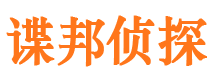 钢城市私人侦探